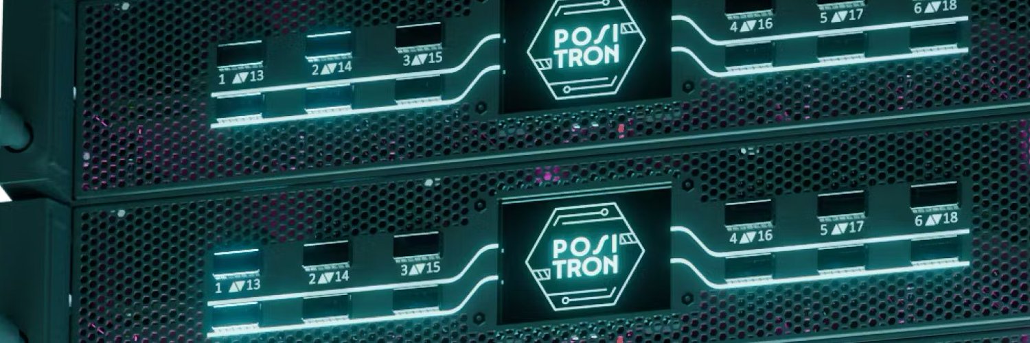 Positron inference servers in a rack